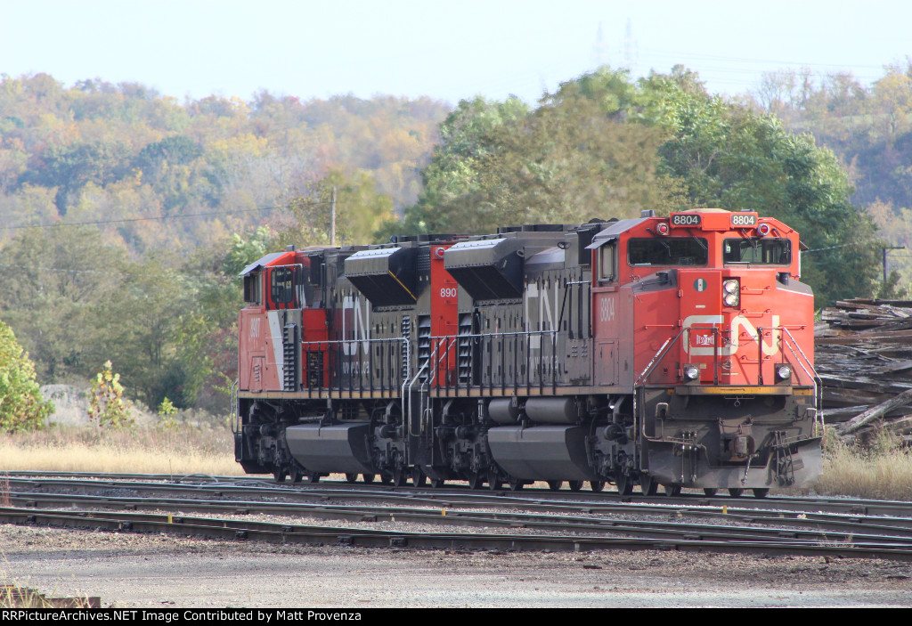 CN 8804